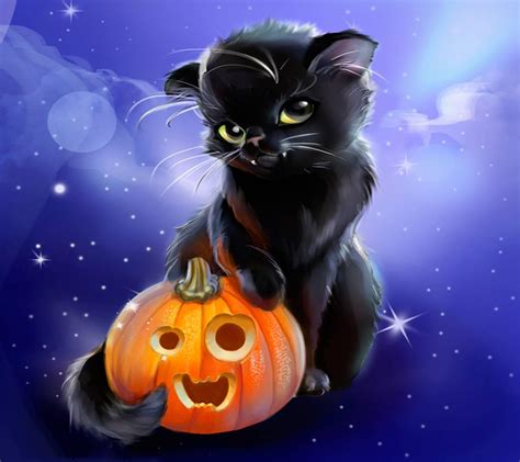 cute halloween cat background